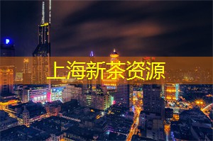 上海会所：揭秘豪华SPA保养，消除疲劳、达到身心平衡的绝佳方