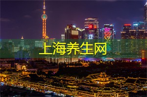 夜游上海的前奏：白天兴奋与期待