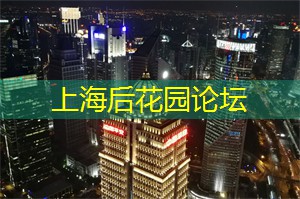 独特的上海夜文化体验